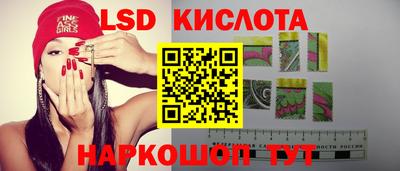ешки Бердск