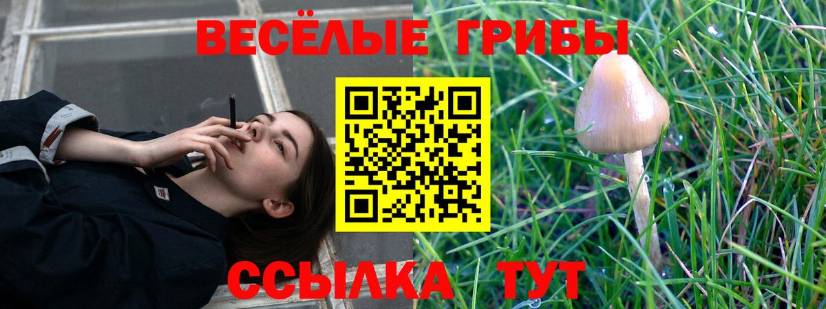 Псилоцибиновые грибы Psilocybine cubensis  Вход с VPN  Галлюциногенные грибы GOLDEN TEACHER  Орёл 